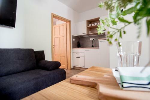 Apartmaji Utrinek, Apartma Salon