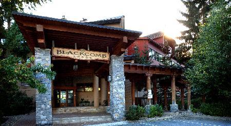 Hotel Blackcomb Lodge - Studio Loft