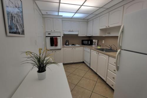 Apartamentos Hollywood Condo's