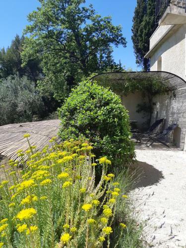 Domaine Fontaine