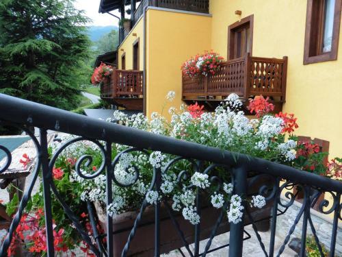 Hostal La Maison Du Bon Megnadzo