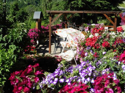Hostal La Maison Du Bon Megnadzo