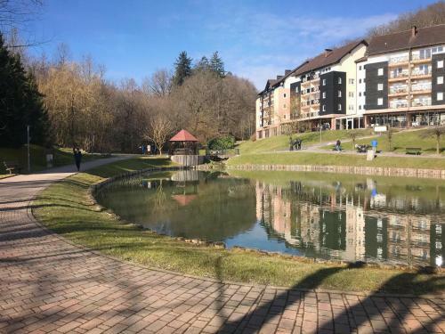 Apartma Daniva, Vas Lipa