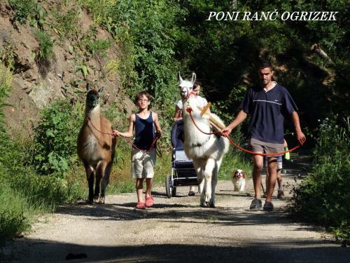 Apartamento Eko Poni Ran? Ogrizek