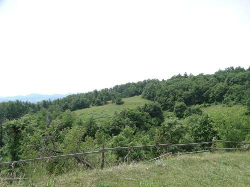 Apartamento Eko Poni Ran? Ogrizek