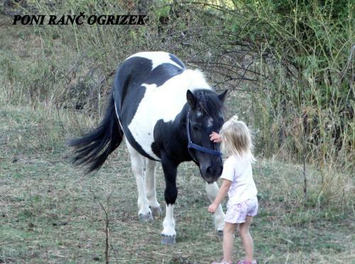 Apartamento Eko Poni Ran? Ogrizek