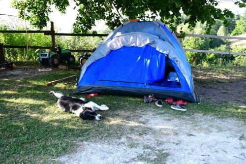 Apartamento Eko Poni Ran? Ogrizek