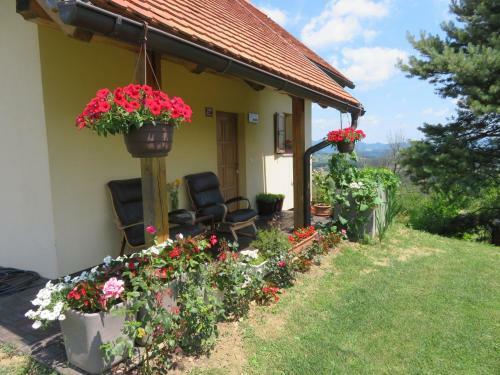 Apartma Panorama Po?etrtek