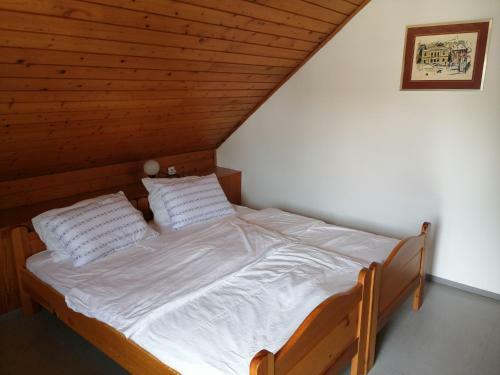 Apartma Gaja, Terme Olimia