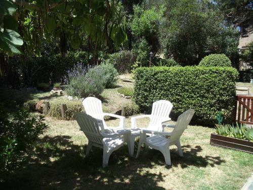 Posada Dandy Suites