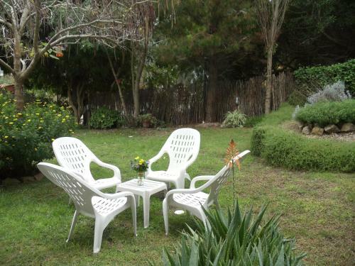 Posada Dandy Suites
