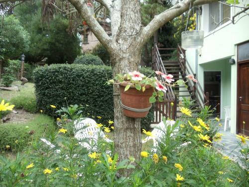 Posada Dandy Suites