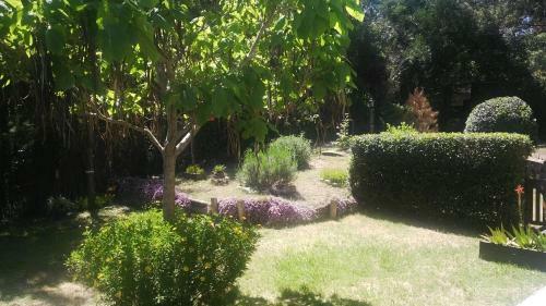 Posada Dandy Suites