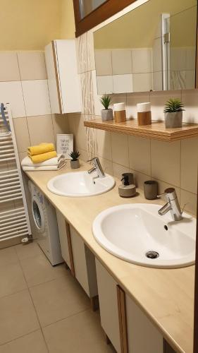 Apartment 202