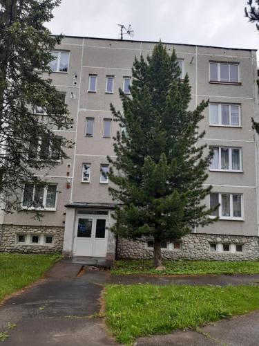 Apartman 176