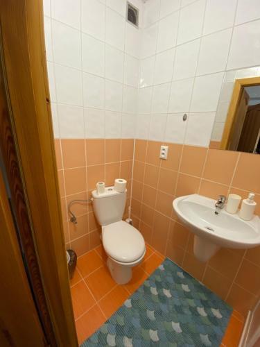 Hostal Penzion Pod Brehom