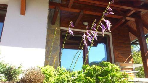 Apartmany Janosikove Diery