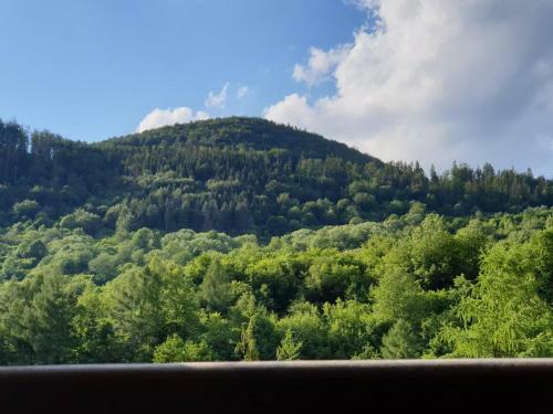 Apartm�n Vikt�ria