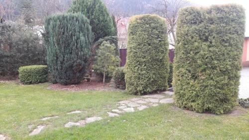 Priv�t Vikt�ria Terchov�