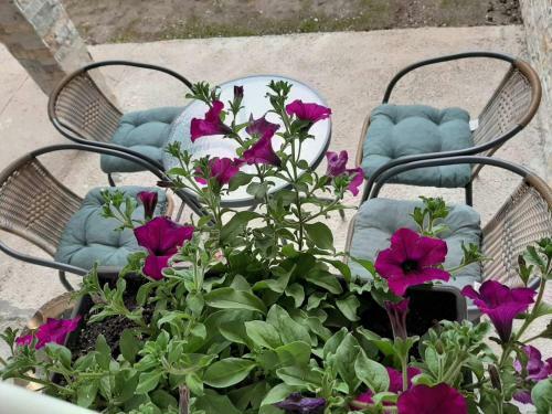 Apartamento Villa Bozovic