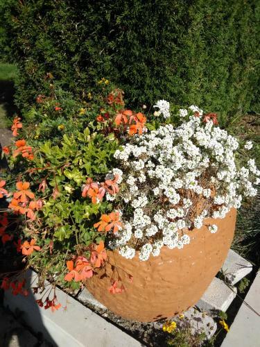 Apartamento Villa Bozovic