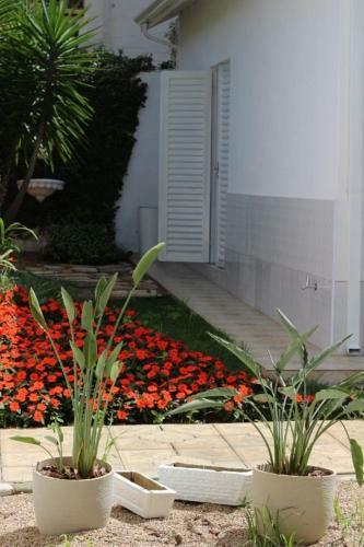 Casa De Campo Na Cidade Da Sa�de
