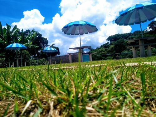 Escondidinho Da Serra
