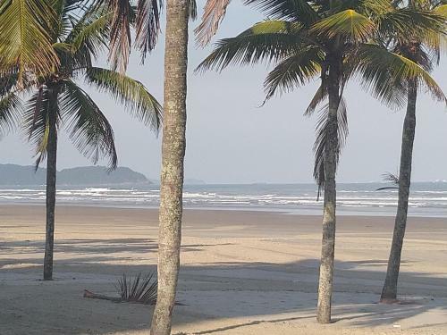 Apartamento Kitnet Studio Vale A Pena Conferir! Vila Ocian Praia Grande Sp