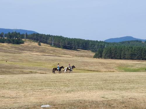 Apartamento Zlatibor Hills Lara