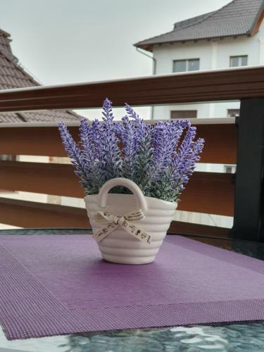 Apartamento Zlatibor Hills Lara