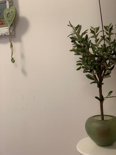 Apartman Radovic 2