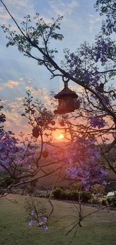 Bed & Breakfast Ellementares Guest House