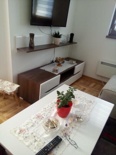 Apartmani Kr?i?