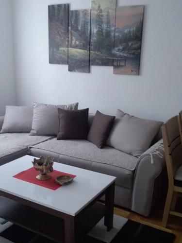 Apartmani Kr?i?