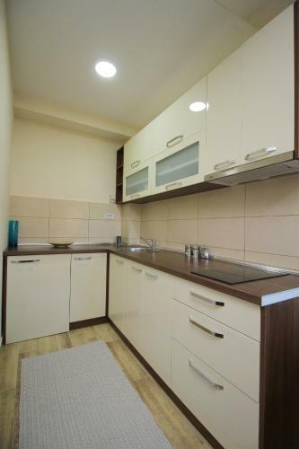 Apartment Lazarevic II
