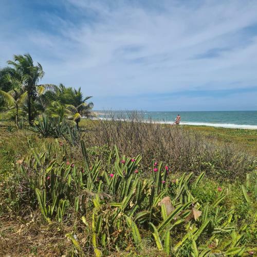 Apartamento Praia De Itacimirim, P� Na Areia