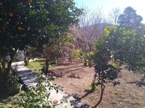 Hostal Hospedaria V� Schutz 2