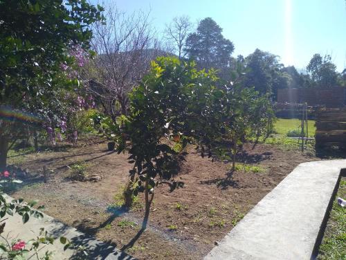 Hostal Hospedaria V� Schutz 2