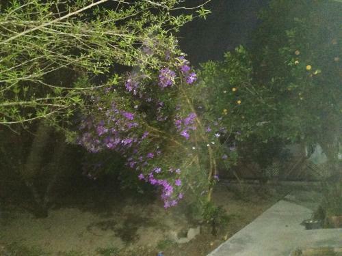 Hostal Hospedaria V� Schutz 2