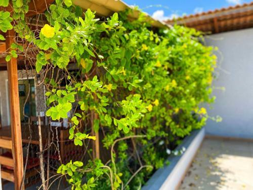 Apartamento No Flecheiras Beach Residence Por Be My Guest