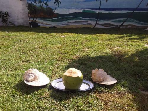 Hostal Su�te Das Flores Em Guajiru