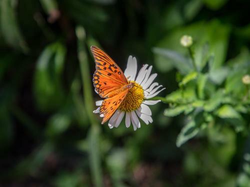 Apartamento Paradise Departamentos