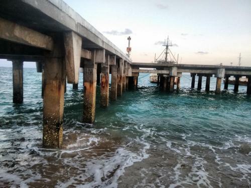 Lodge Chal� Das Palmeiras