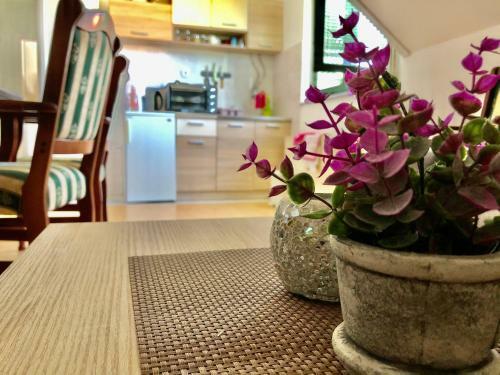 Apartman Zlatno Brdo