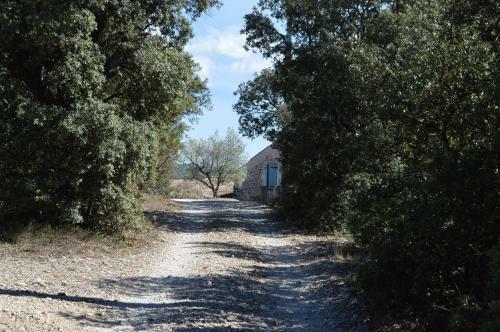 Bed & Breakfast Ferme De Palumiane