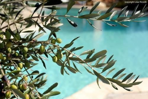 Bed & Breakfast Les H�tes De La Combe Mouis