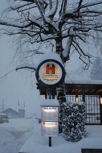 Posada Hotel Des Alpes