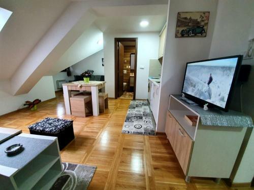 Apartman Zlatibor