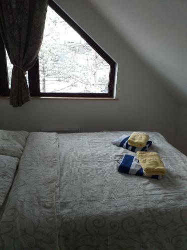 Apartman Zlatibor