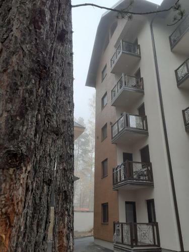 Apartman Zlatibor